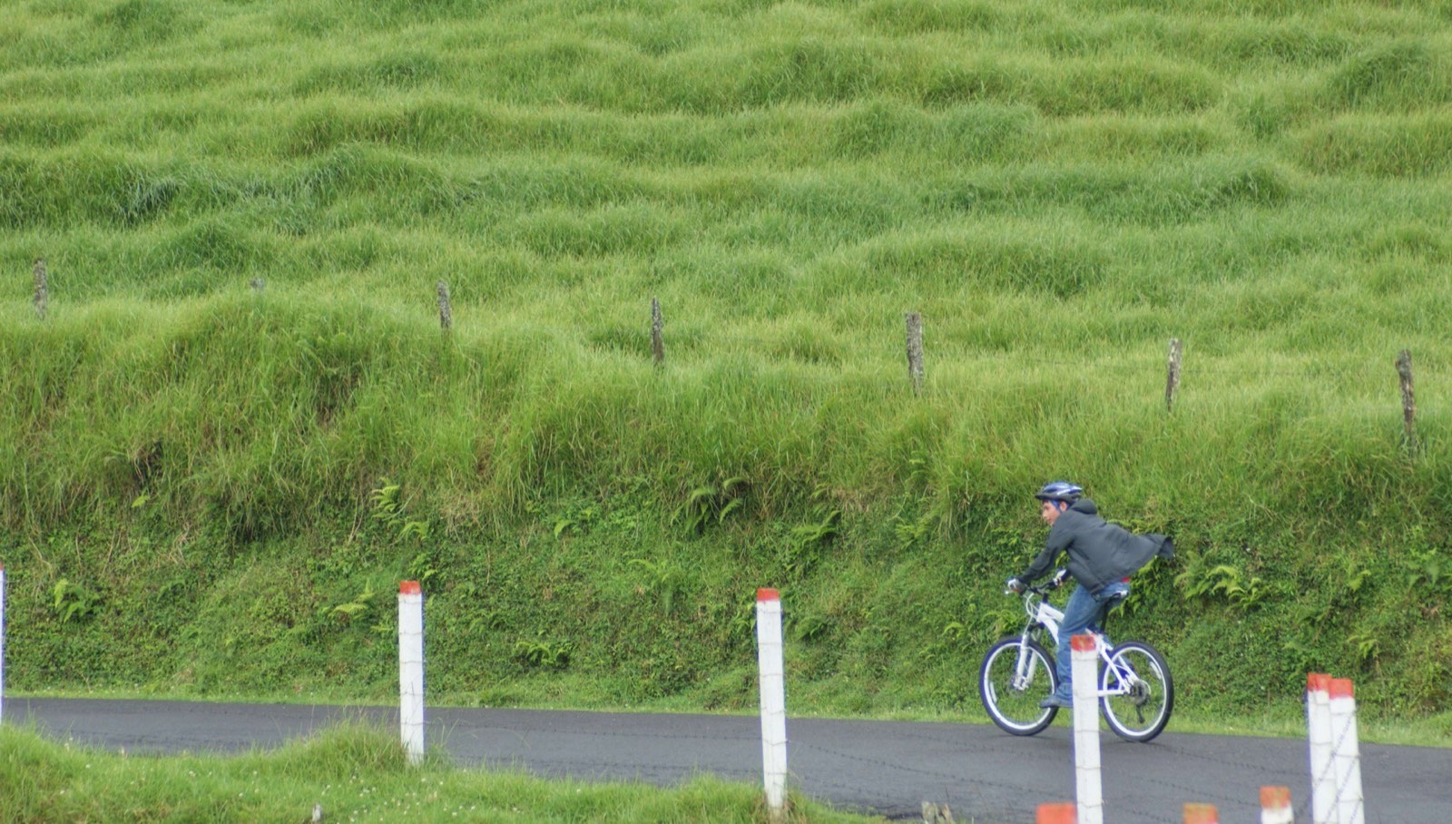 A cyclist crossing green cloud-forest hills in Costa Rica