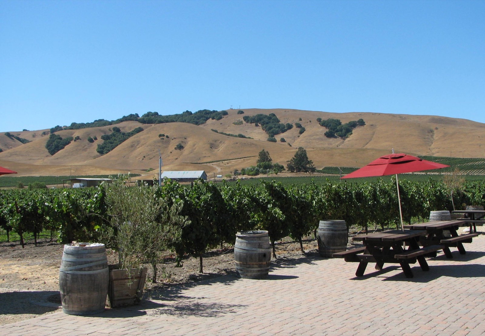 Sonoma cycling landscape